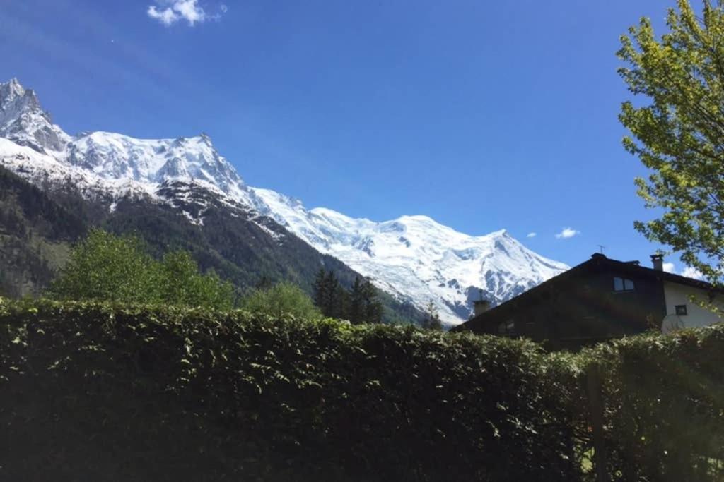 דירות שאמוני Studio Au Calme Avec Jardin Et Vue Mont-Blanc מראה חיצוני תמונה