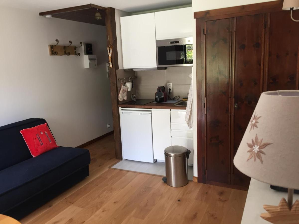 שאמוני Studio Au Calme Avec Jardin Et Vue Mont-Blanc מראה חיצוני תמונה