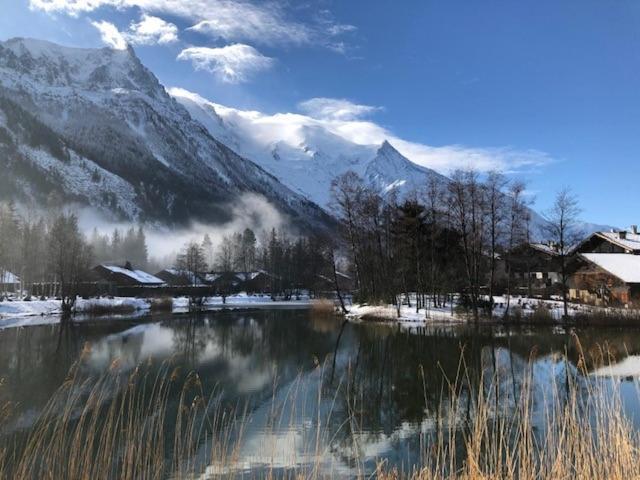 דירות שאמוני Studio Au Calme Avec Jardin Et Vue Mont-Blanc מראה חיצוני תמונה